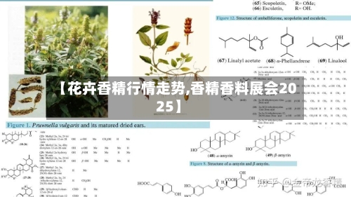 【花卉香精行情走势,香精香料展会2025】