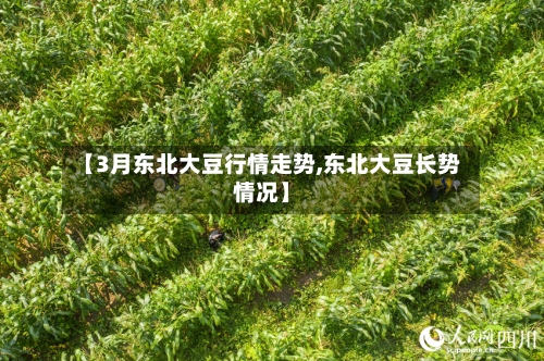 【3月东北大豆行情走势,东北大豆长势情况】