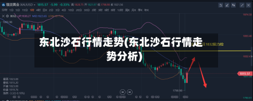 东北沙石行情走势(东北沙石行情走势分析)