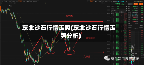 东北沙石行情走势(东北沙石行情走势分析)