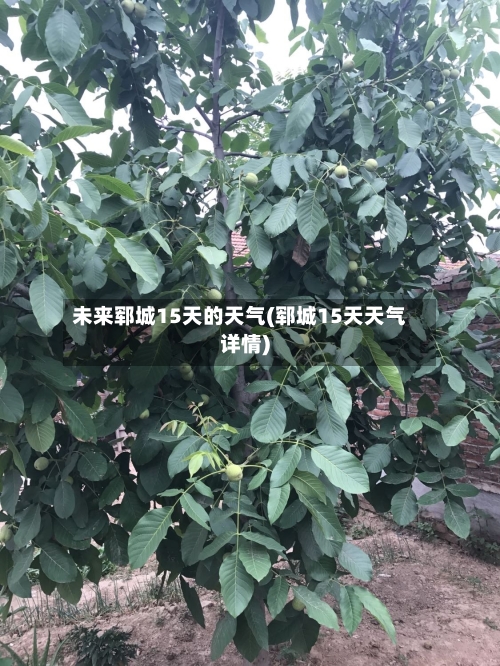 未来郓城15天的天气(郓城15天天气详情)