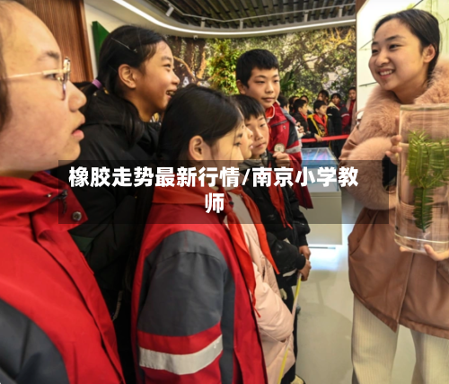 橡胶走势最新行情/南京小学教师