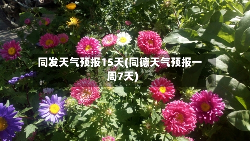 同发天气预报15天(同德天气预报一周7天)