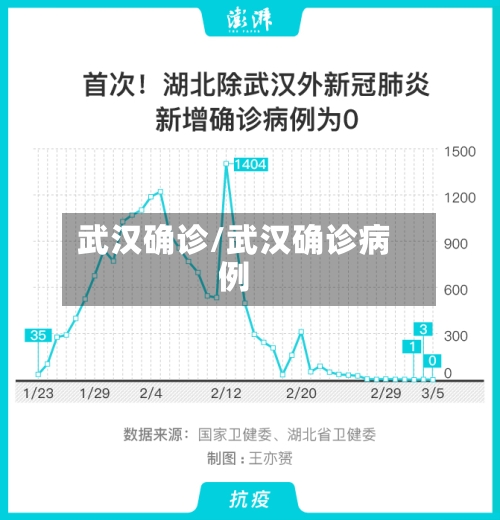 武汉确诊/武汉确诊病例