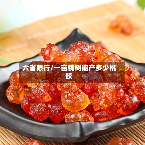 六省限行/一亩桃树能产多少桃胶