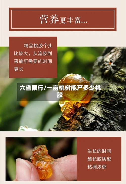 六省限行/一亩桃树能产多少桃胶