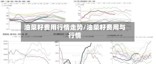 油菜籽费用行情走势/油菜籽费用与行情