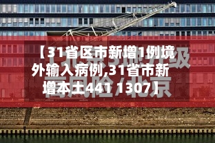 【31省区市新增1例境外输入病例,31省市新增本土441 1307】