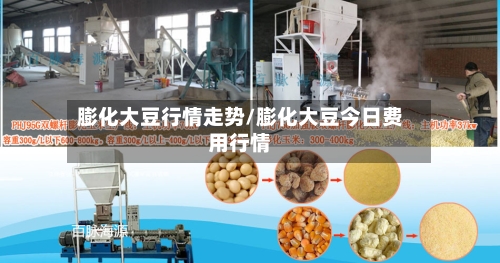 膨化大豆行情走势/膨化大豆今日费用行情