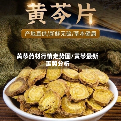 黄芩药材行情走势图/黄芩最新走势分析