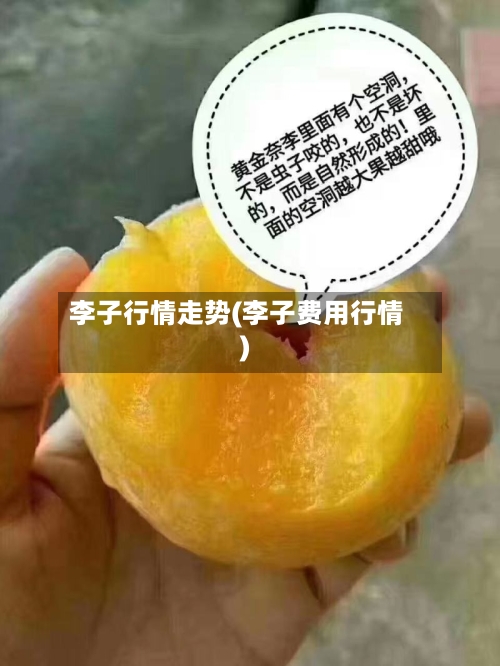 李子行情走势(李子费用行情)