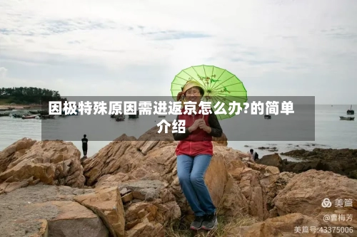 因极特殊原因需进返京怎么办?的简单介绍