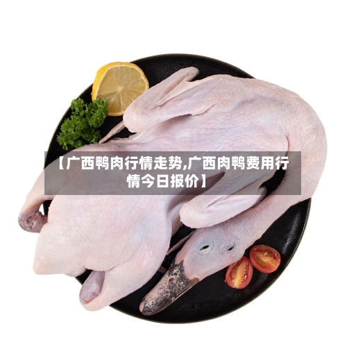 【广西鸭肉行情走势,广西肉鸭费用行情今日报价】
