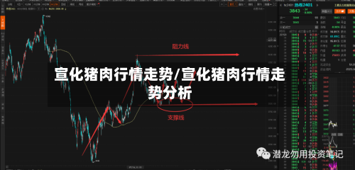 宣化猪肉行情走势/宣化猪肉行情走势分析
