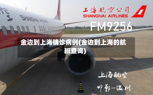 金边到上海确诊病例(金边到上海的航班查询)