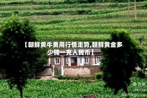 【朝鲜黄牛费用行情走势,朝鲜黄金多少钱一克人民币】