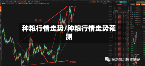 种粮行情走势/种粮行情走势预测