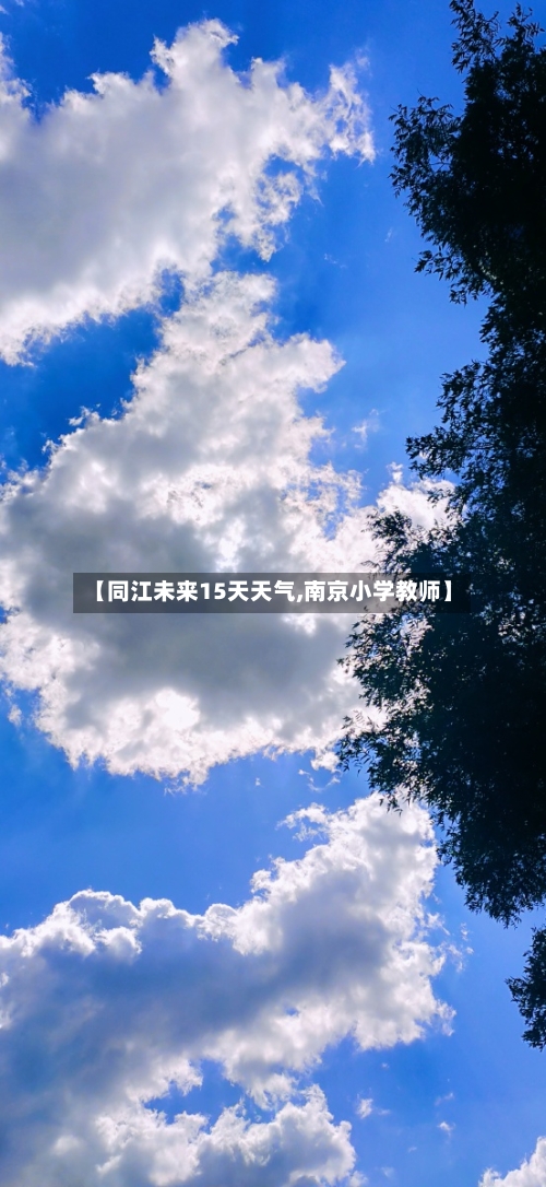 【同江未来15天天气,南京小学教师】