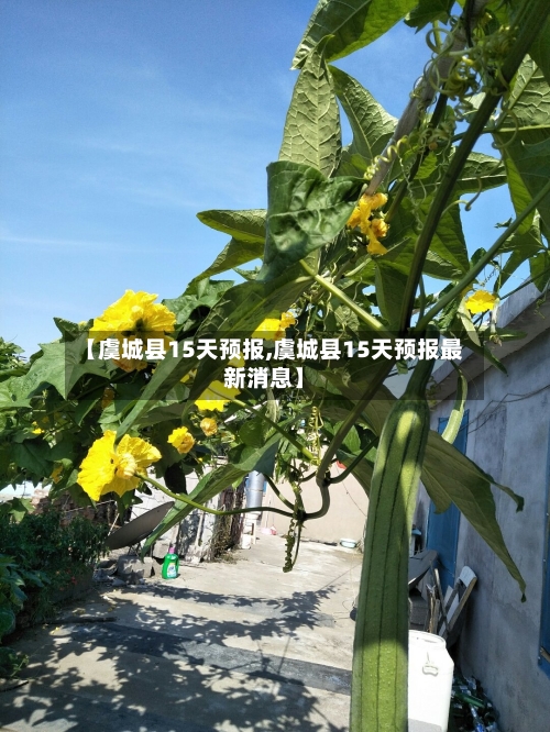 【虞城县15天预报,虞城县15天预报最新消息】