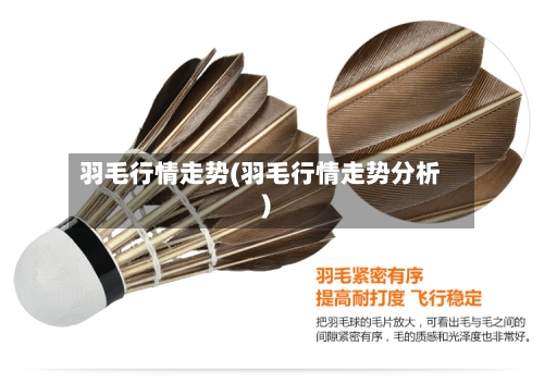 羽毛行情走势(羽毛行情走势分析)