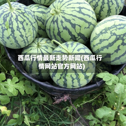 西瓜行情最新走势新闻(西瓜行情网站官方网站)