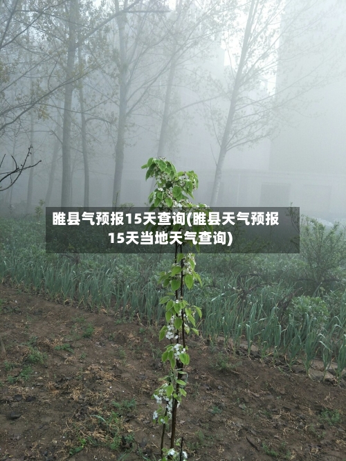 睢县气预报15天查询(睢县天气预报15天当地天气查询)