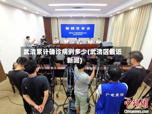 武清累计确诊病例多少(武清区最近新闻)