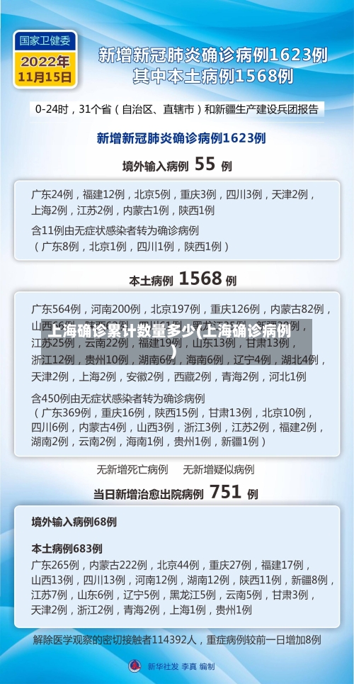 上海确诊累计数量多少(上海确诊病例)