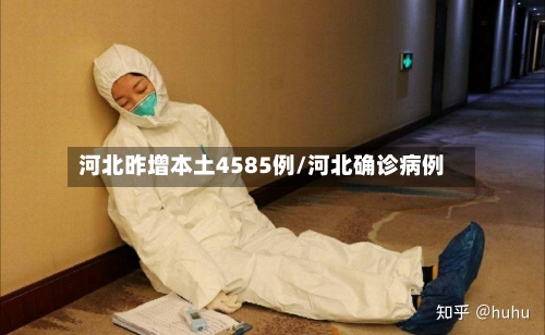 河北昨增本土4585例/河北确诊病例