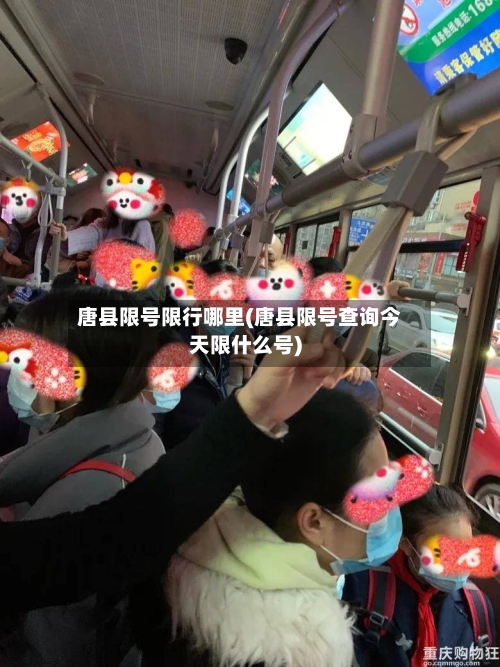 唐县限号限行哪里(唐县限号查询今天限什么号)