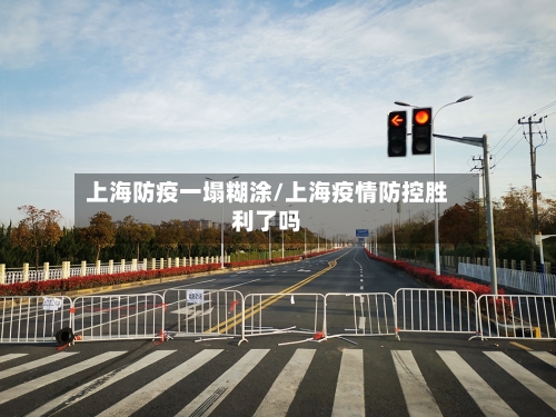 上海防疫一塌糊涂/上海疫情防控胜利了吗