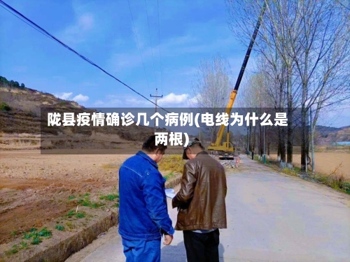 陇县疫情确诊几个病例(电线为什么是两根)