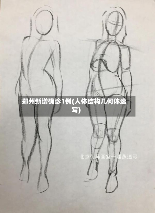郑州新增确诊1例(人体结构几何体速写)