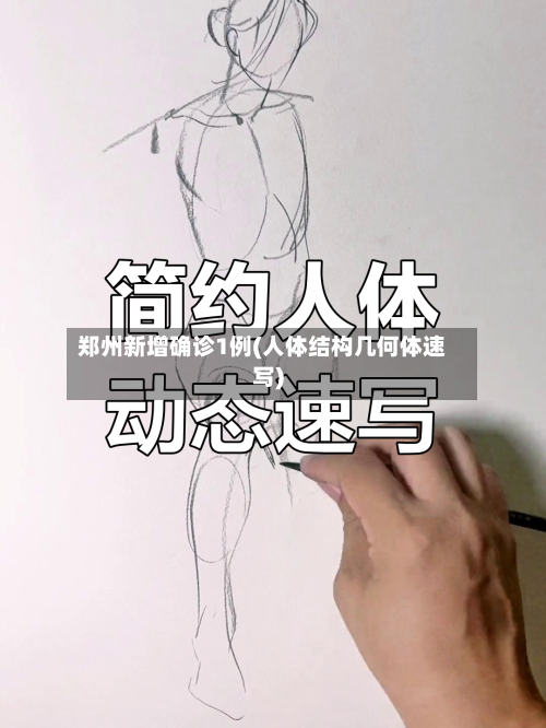 郑州新增确诊1例(人体结构几何体速写)