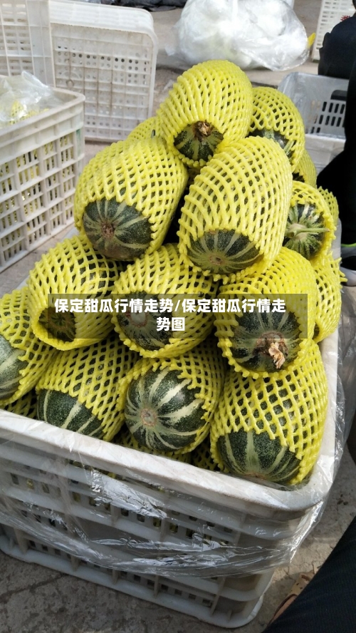 保定甜瓜行情走势/保定甜瓜行情走势图