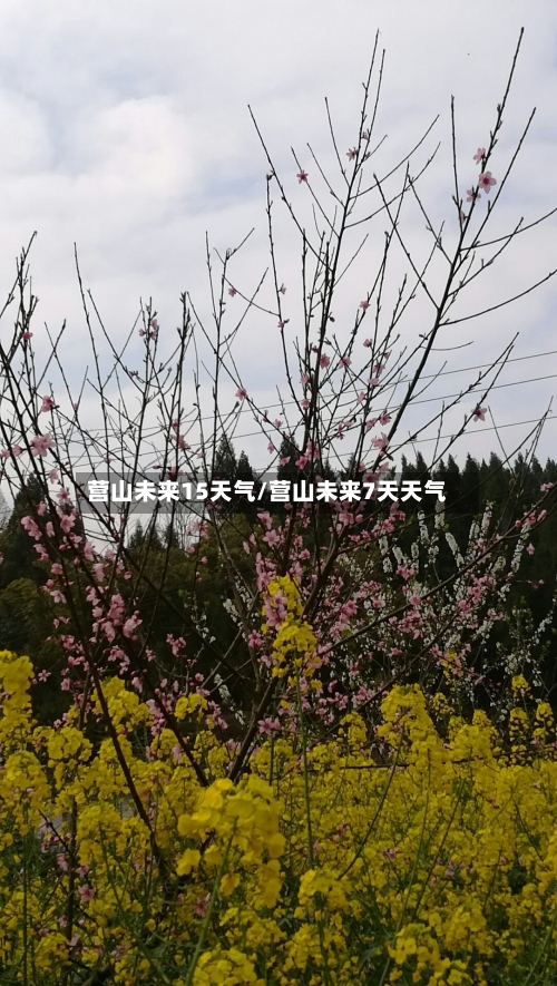 营山未来15天气/营山未来7天天气