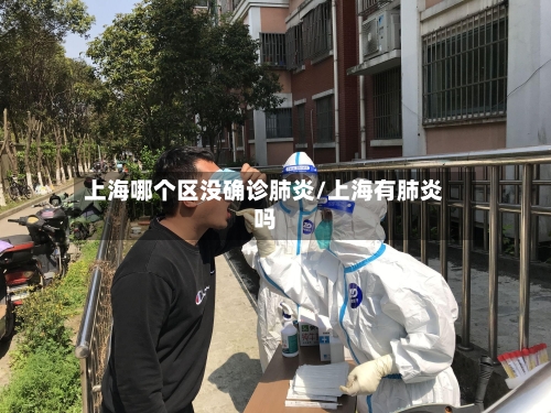 上海哪个区没确诊肺炎/上海有肺炎吗