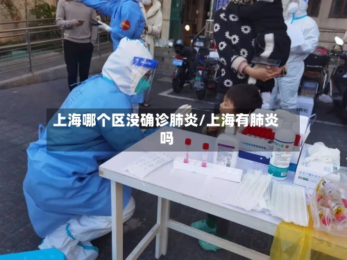 上海哪个区没确诊肺炎/上海有肺炎吗