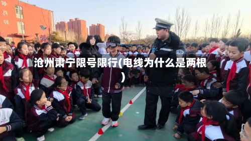 沧州肃宁限号限行(电线为什么是两根)
