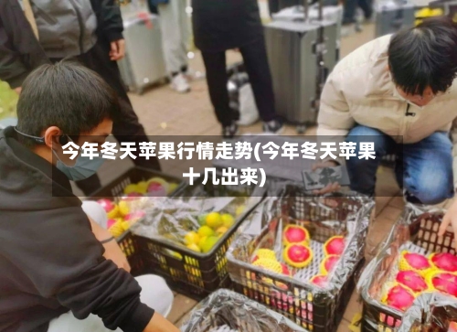今年冬天苹果行情走势(今年冬天苹果十几出来)