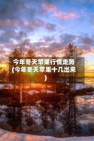 今年冬天苹果行情走势(今年冬天苹果十几出来)