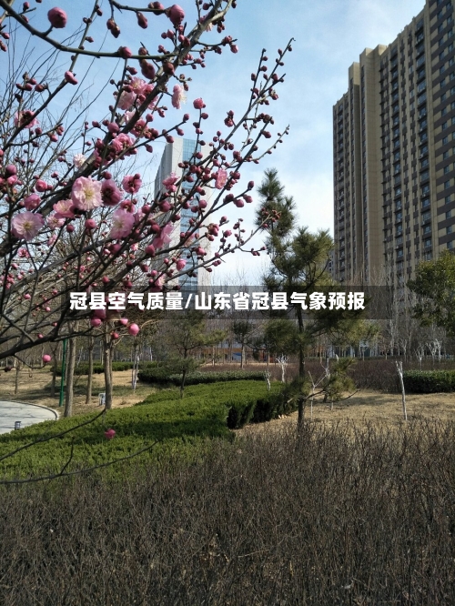 冠县空气质量/山东省冠县气象预报