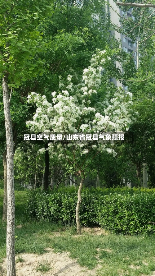 冠县空气质量/山东省冠县气象预报