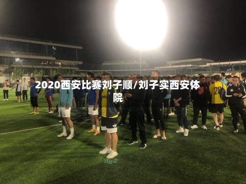 2020西安比赛刘子顺/刘子实西安体院