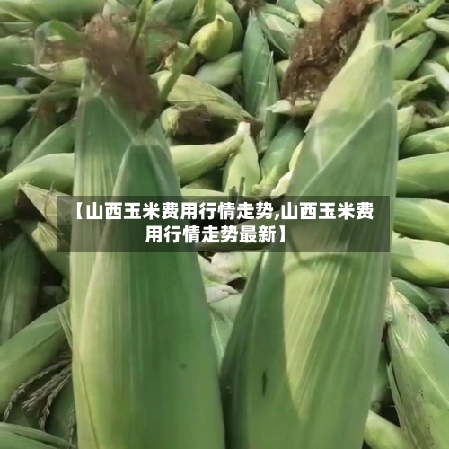 【山西玉米费用行情走势,山西玉米费用行情走势最新】