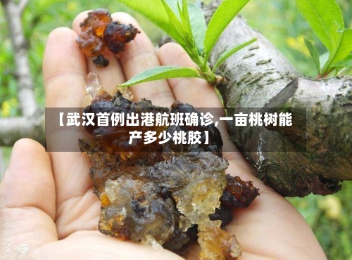 【武汉首例出港航班确诊,一亩桃树能产多少桃胶】