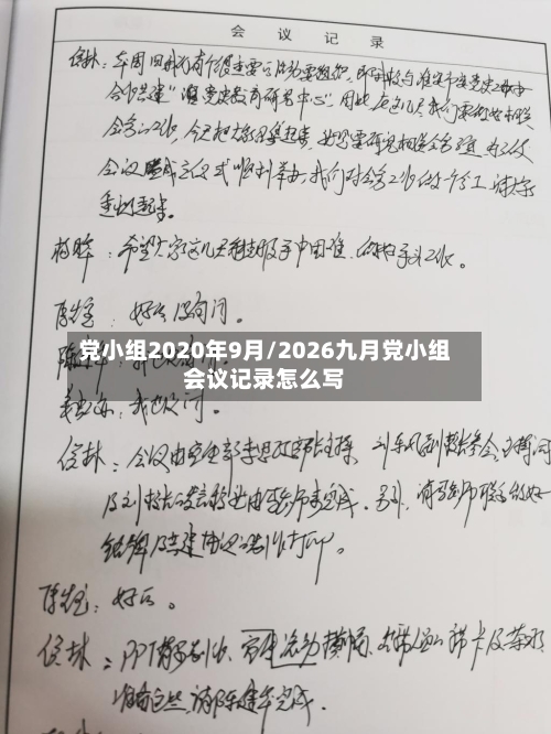 党小组2020年9月/2026九月党小组会议记录怎么写