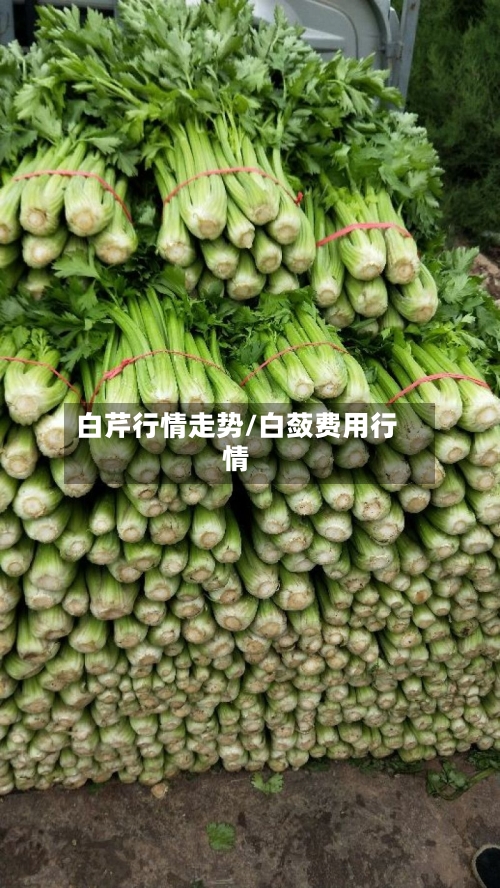 白芹行情走势/白蔹费用行情