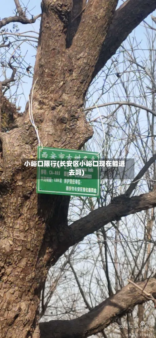 小峪口限行(长安区小峪口现在能进去吗)