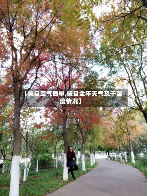 【蒙自空气质量,蒙自全年天气及干湿度情况】